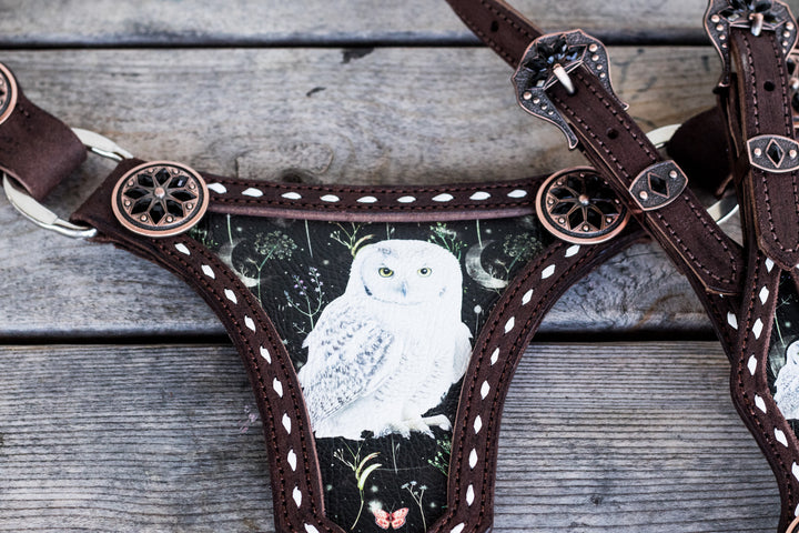 *[Made To Order] Owl  Large centerplate tack set