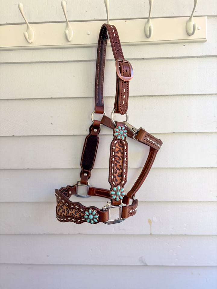 [ Stock] Full Leather Halter - Leopard  on Hickory