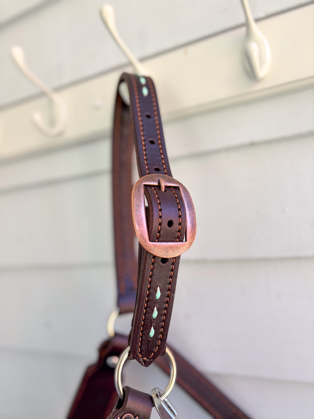 [ Stock] Full Leather Lariat Halter - leopard  - mint lariat