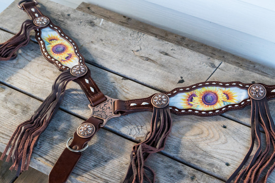 [In Stock] Morgan Sunflower- tack set- v brow