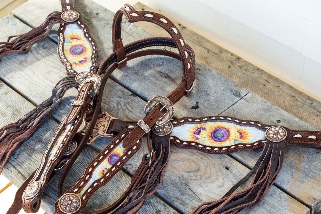 [In Stock] Morgan Sunflower- tack set- v brow