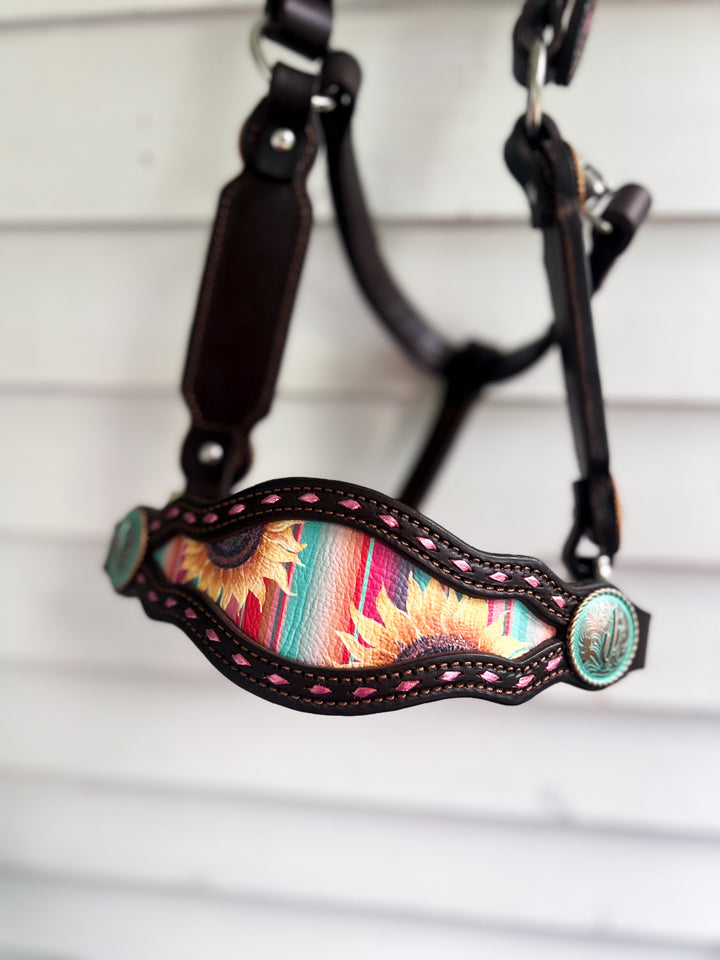 [ Stock] Full Leather Halter - Mackenna on choc