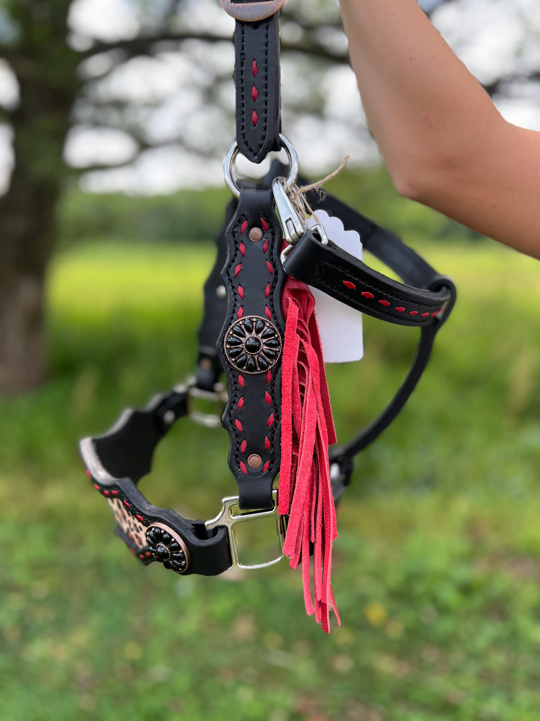 [ Stock] Full Leather Halter - Wild West