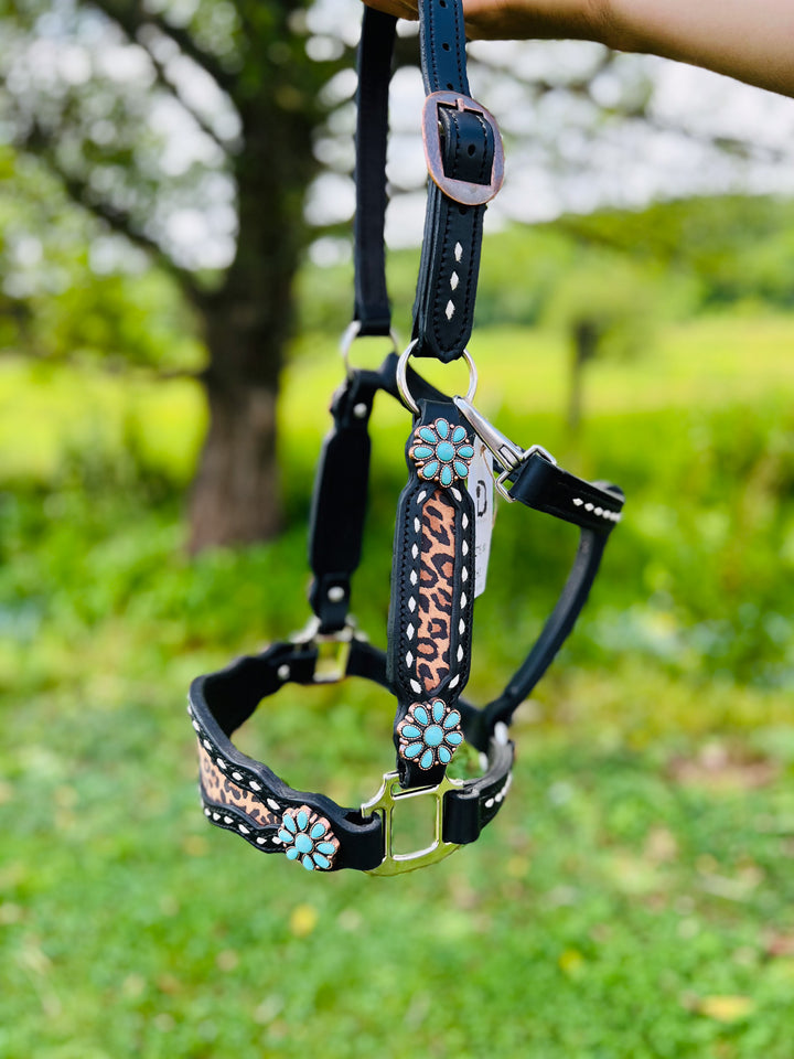 [ Stock] Full Leather Halter - Leopard  on black