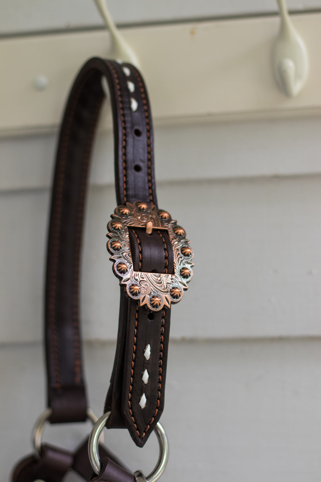 [ Stock] Full Leather Lariat Halter - Starlight Bloom  - black lariat