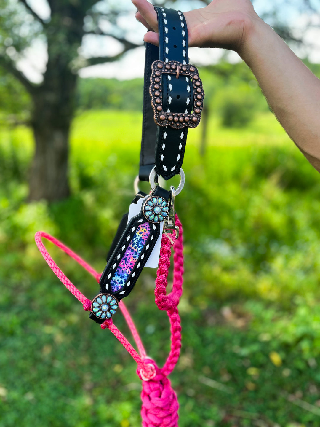 [ Stock] Lariat Muletape Halter- rainbow leopard